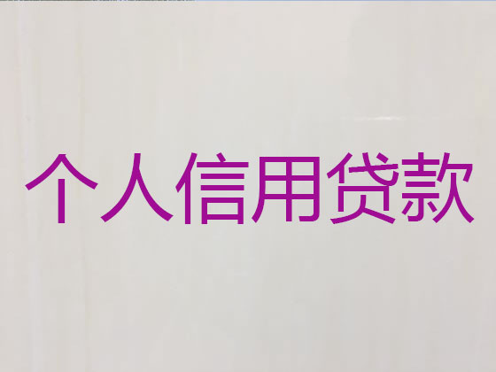 安庆本地贷款公司